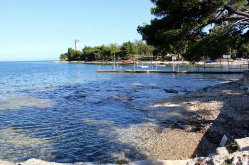 Apartment Basanija 7334a