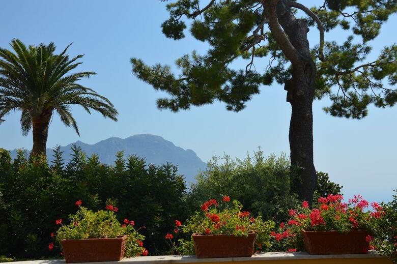 Hotel Palumbo