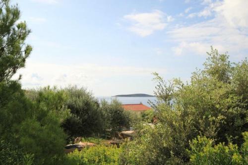Apartments By The Sea Milna (vis) - 8895