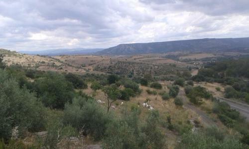 Agroturismo Su Ponti Biancu