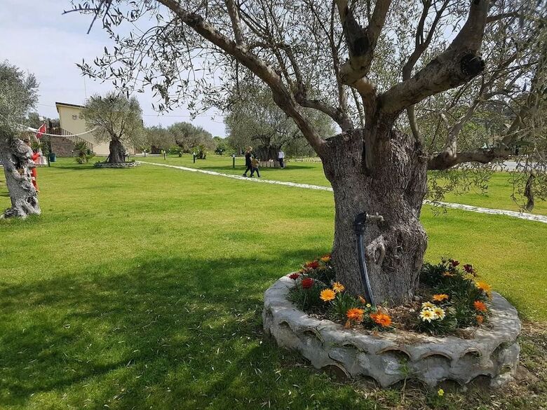 Agroturismo Agriturismo Donna Beatrice