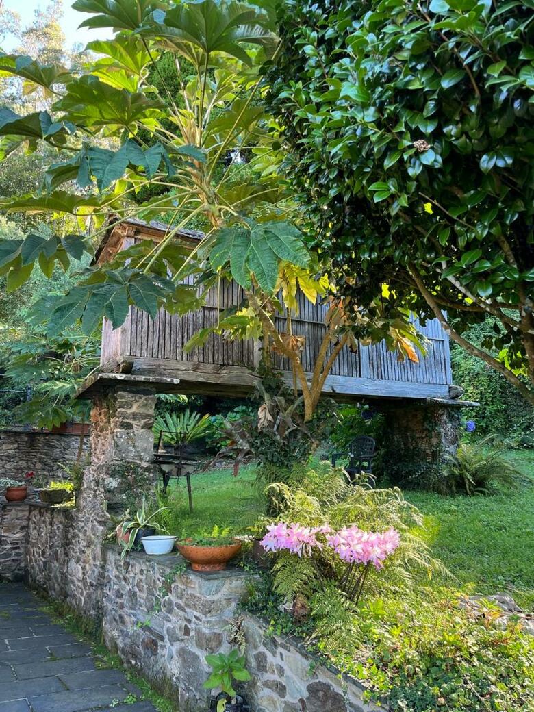 Agroturismo Casa Rural O Vilar