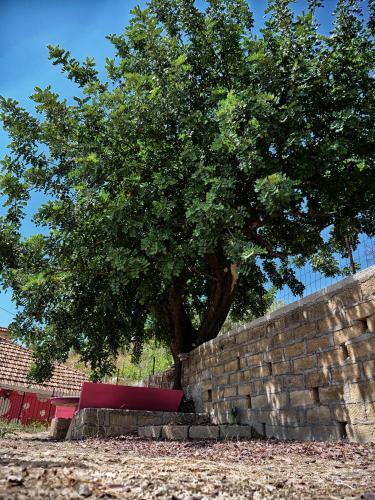 B&B Vento Di Scirocco