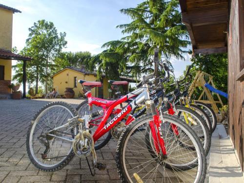 Apartamento Agriturismo Foiano Allodola