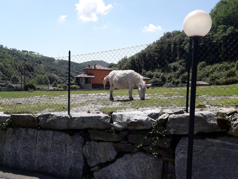 Agroturismo Agriturismo La Miniera