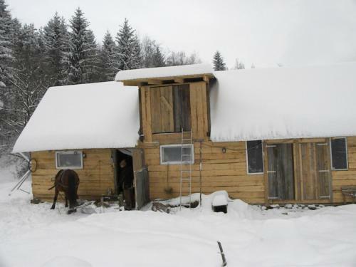 Villa Farmhouse Rosehip Romania Brasov