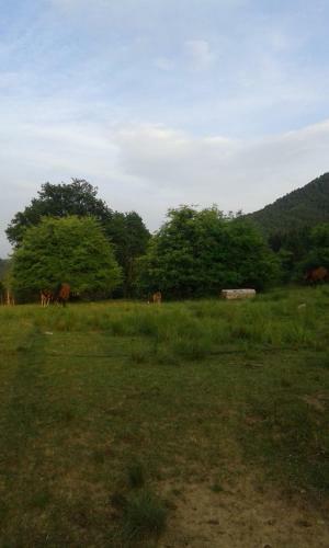 Villa Farmhouse Rosehip Romania Brasov