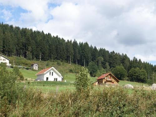 Chalet - Gerardmer