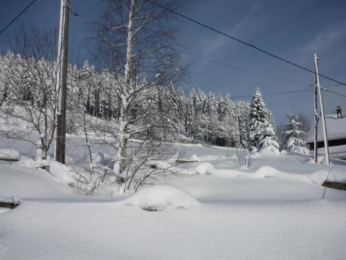 Chalet - Gerardmer