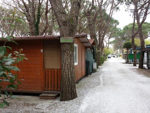 Camping Dal Pino