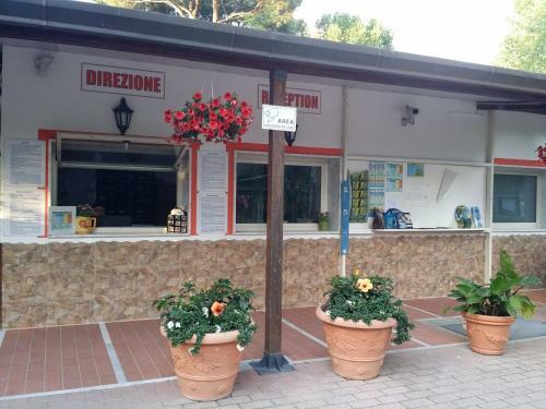 Camping Dal Pino