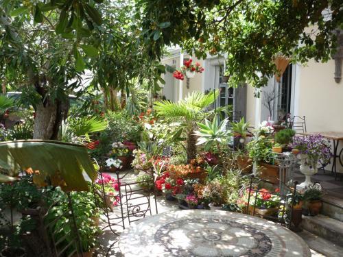 Hotel Victorine
