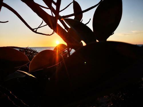Camping B&B Gioiosa