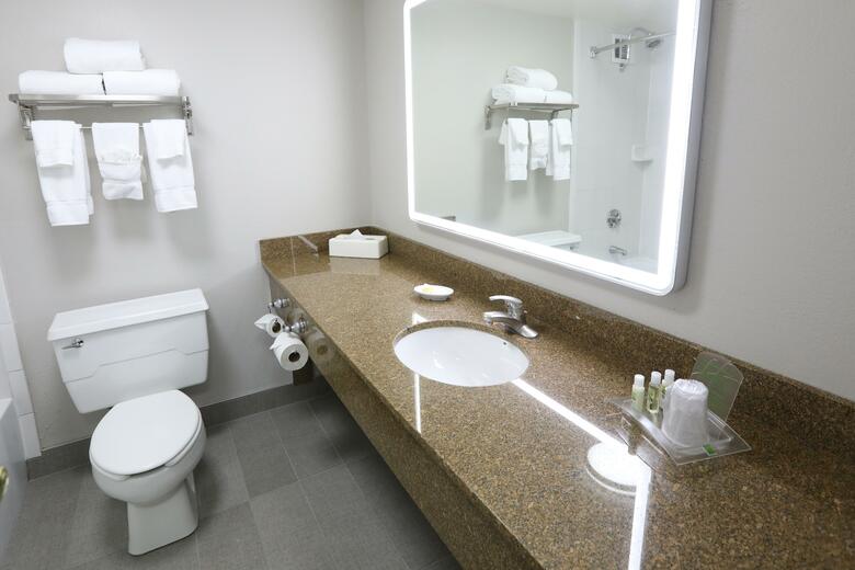 Hotel Holiday Inn Chicago O'hare Area