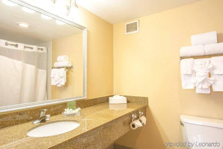 Hotel Holiday Inn Chicago O'hare Area
