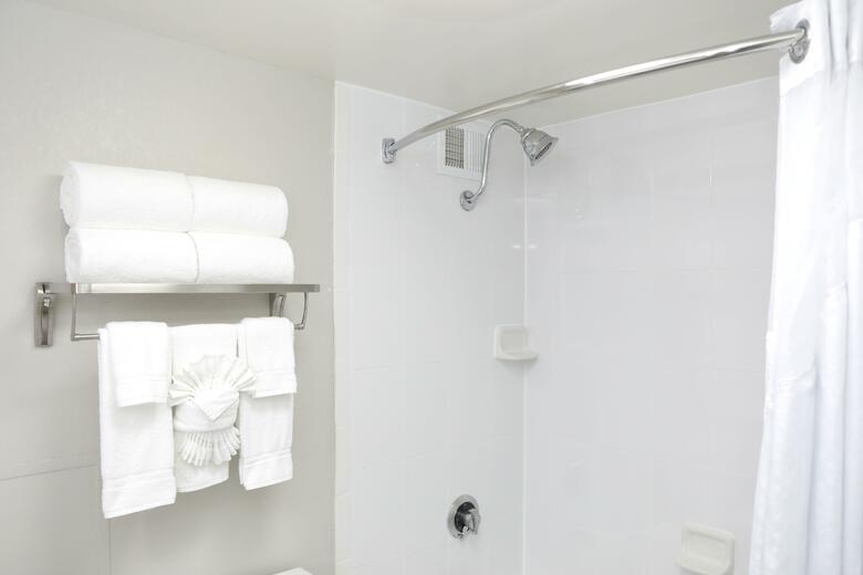Hotel Holiday Inn Chicago O'hare Area
