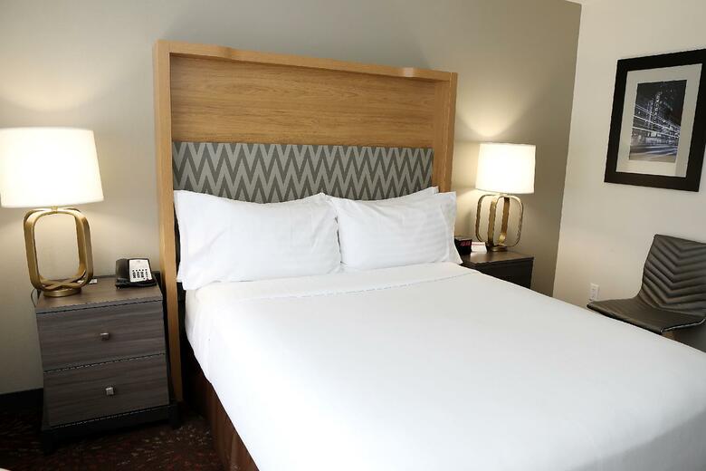 Hotel Holiday Inn Chicago O'hare Area