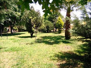 Club Turquaz Garden Hotel