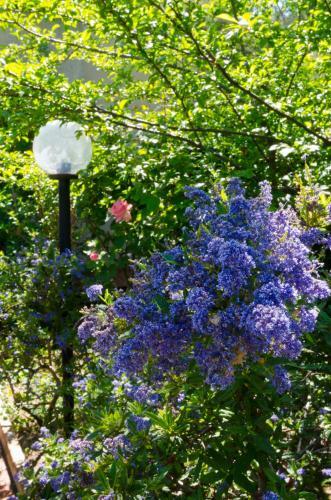 Bed & Breakfast Il Giardino Di Matilde