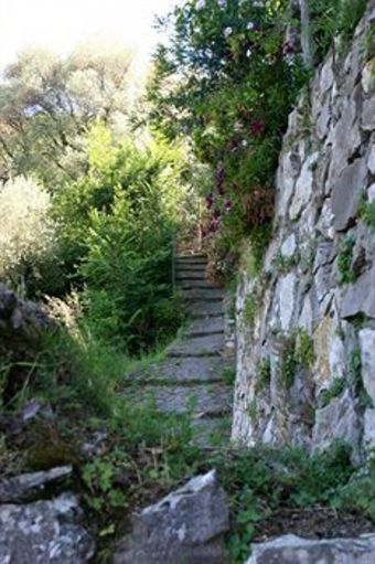 Bed & Breakfast Casarufolo Paradise