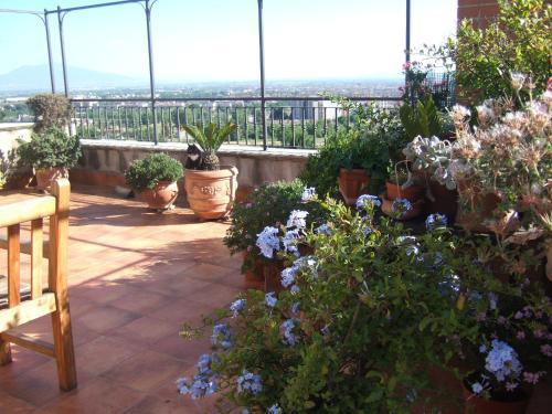Bed & Breakfast Montalbano