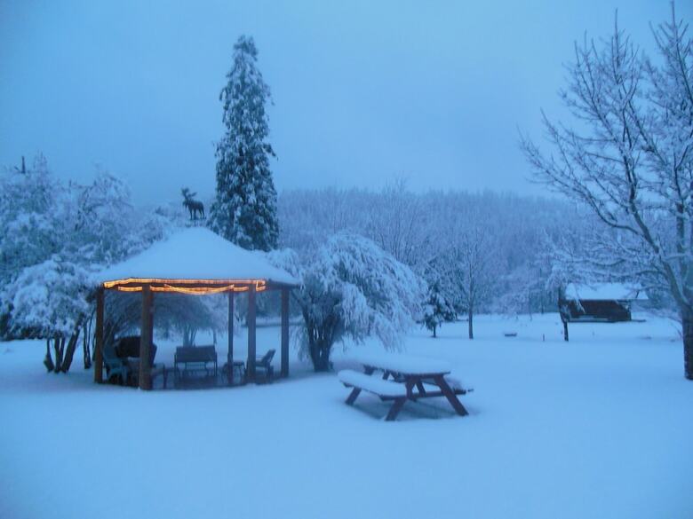 Posada Clark Fork Lodge