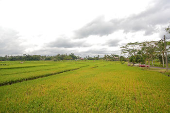 Villa Puri Wulandari Boutique Resort & Spa