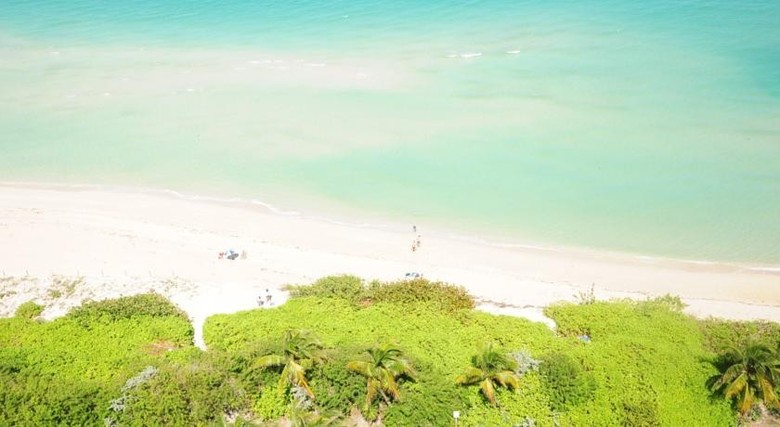 Aparthotel Dw Oceanfront Resort