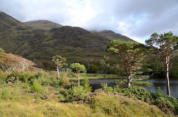 Delphi Lodge Hotel