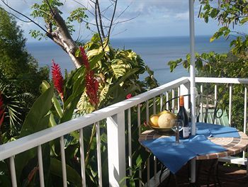 Hotel Nature's Paradise