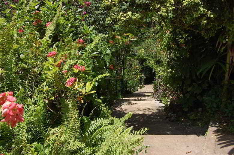 Hostal Inn At Shaw Park Gardens & Waterfalls
