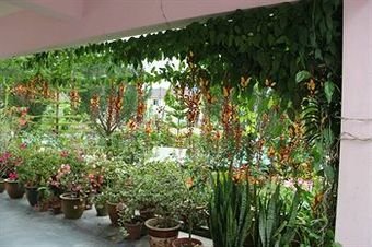 Albergue Krs Pines