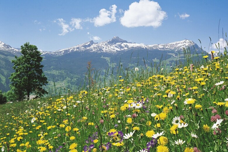 Victoria Jungfrau Grand Hotel And Spa