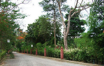Hotel Pongsuda Chalet