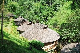 Apartamento The Natural Healing Spa Retreat