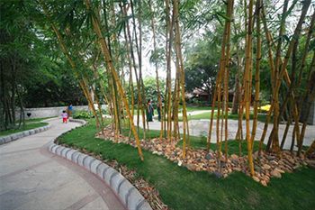 Hotel Hoysala Village Resort