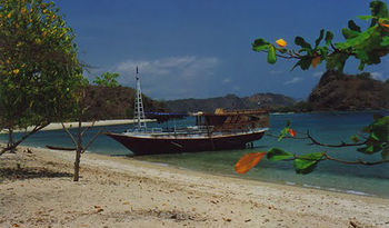 Hotel Sylvia Resort Komodo Labuan Bajo