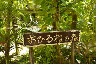 Apartamento Ishigaki Resort Grandvrio Hotel