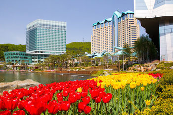 Apartamento Kangwonland Hotel