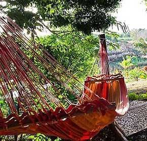 Villa Palmlea Farms Lodge & Bures
