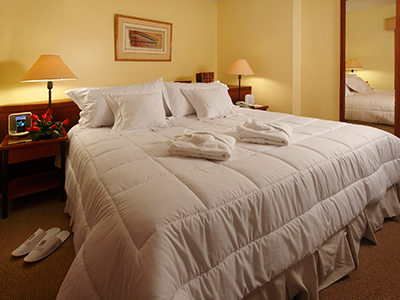 Hotel Plaza Del Bosque