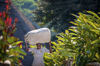 Posada Neptune Ngorongoro Luxury Lodge - All Inclusive