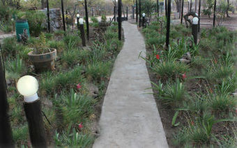 Hotel Tshimologo Farm Guest House