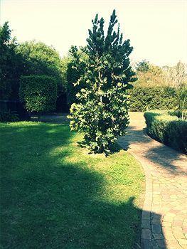 Bed & Breakfast Somerset Villa Guesthouse