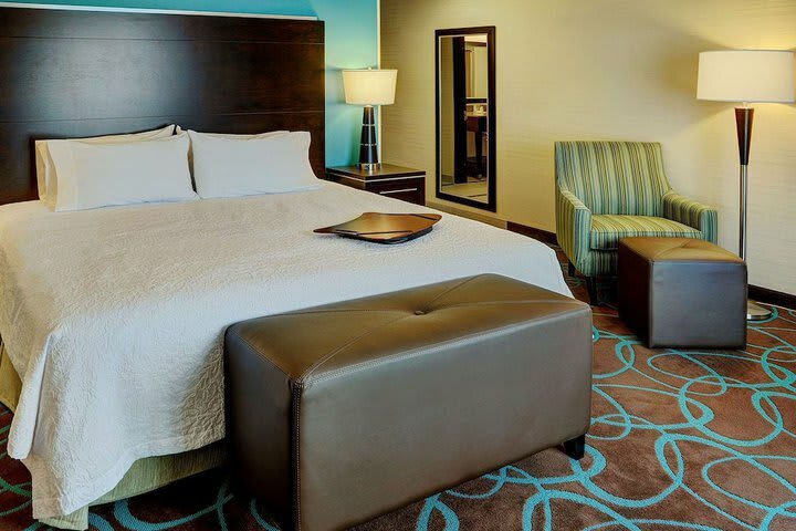 Hotel Hampton Inn By Hilton Winnipeg/airport