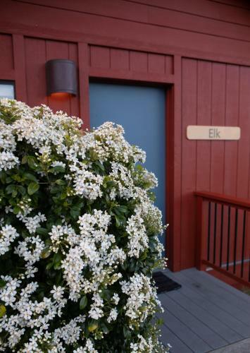 Bed & Breakfast Cottages At Little River Cove