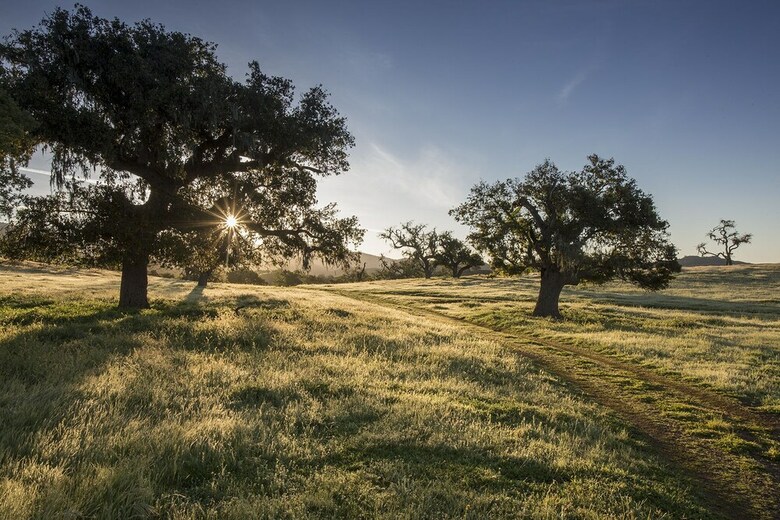 Hostal Fess Parker Wine Country Inn