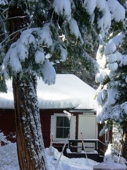 Tahoma Meadows Bed And Breakfast Cottages