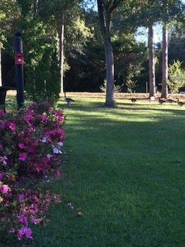 Little English Guesthouse Bed And Breakfast