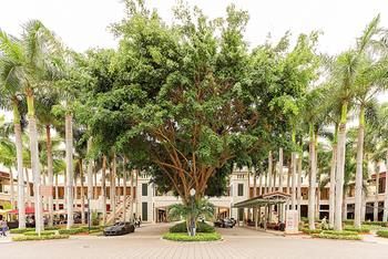 Apartamento Pelican Residences In Coral Gables